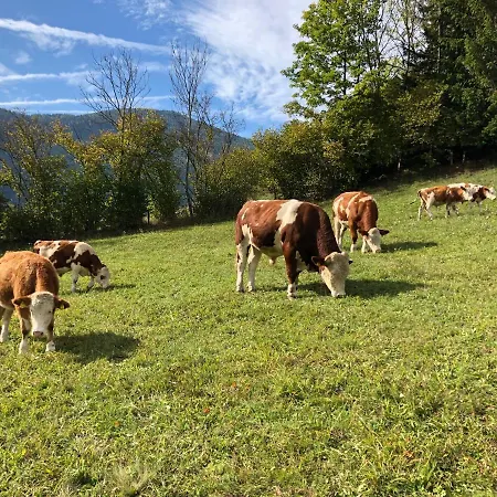 公寓 索尔霍夫公寓 Schöder