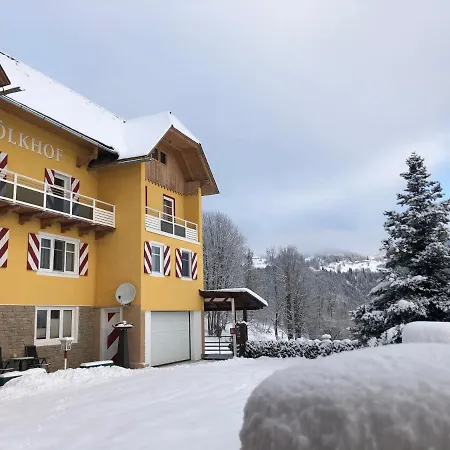 索尔霍夫公寓 *