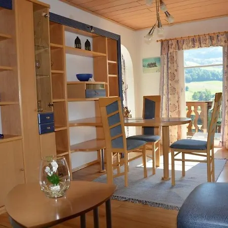 公寓 索尔霍夫公寓 *