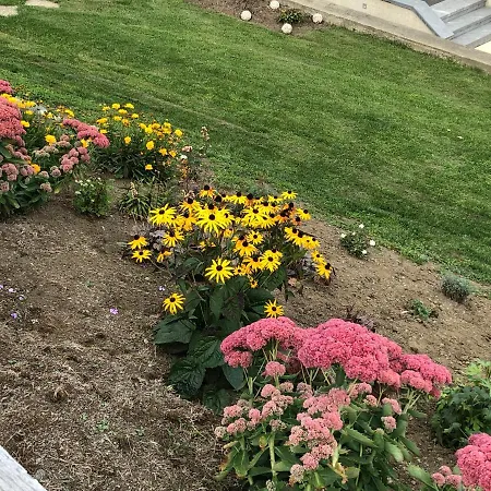 索尔霍夫公寓 * Schöder