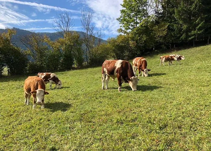 Lejlighed Soelkhof Schöder