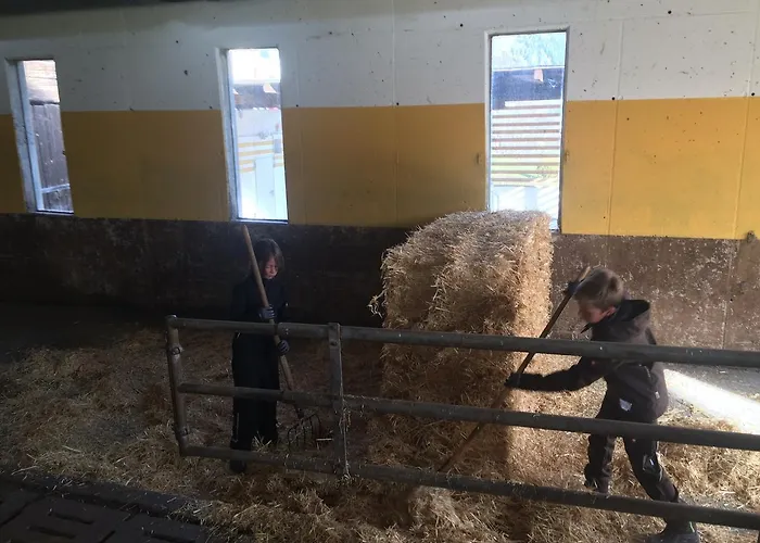 Sölkhof Appartement Schöder