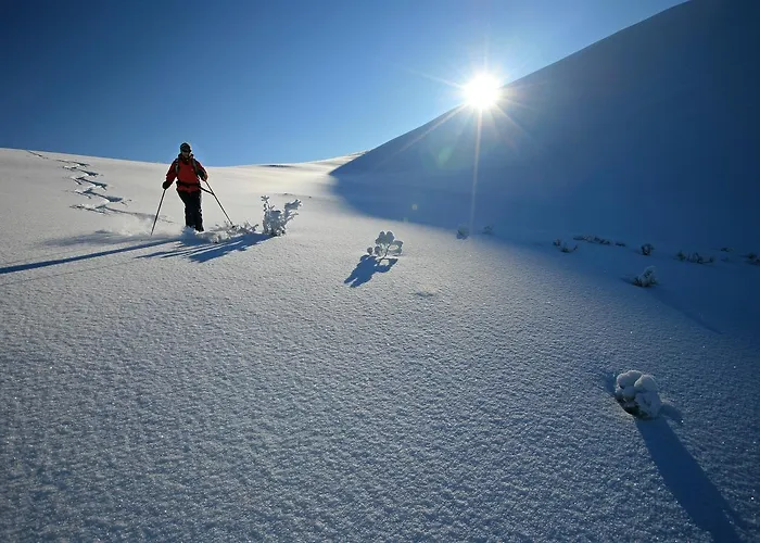 Soelkhof Appartement