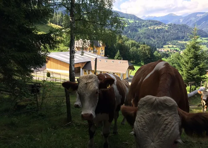 Soelkhof Апартаменты