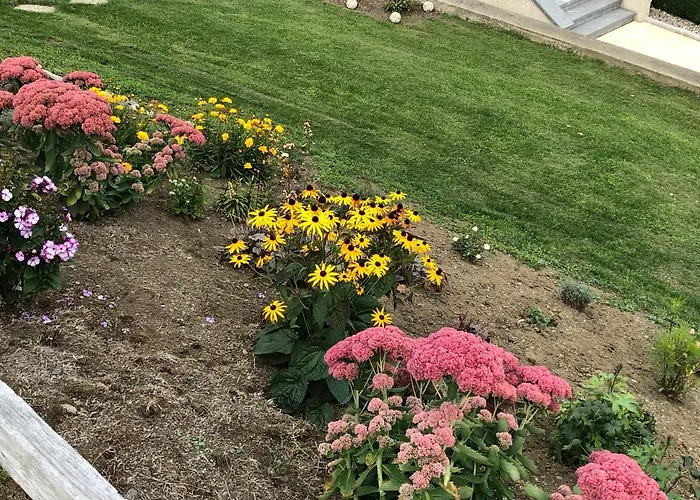 Soelkhof * Шёдер